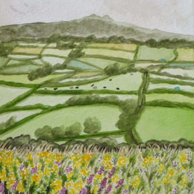 View of English farmland with tor in distance and gorse and grasses in foreground