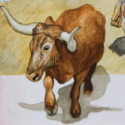 Longhorn bull being followed cowgirl on horse in front of barn with red roof