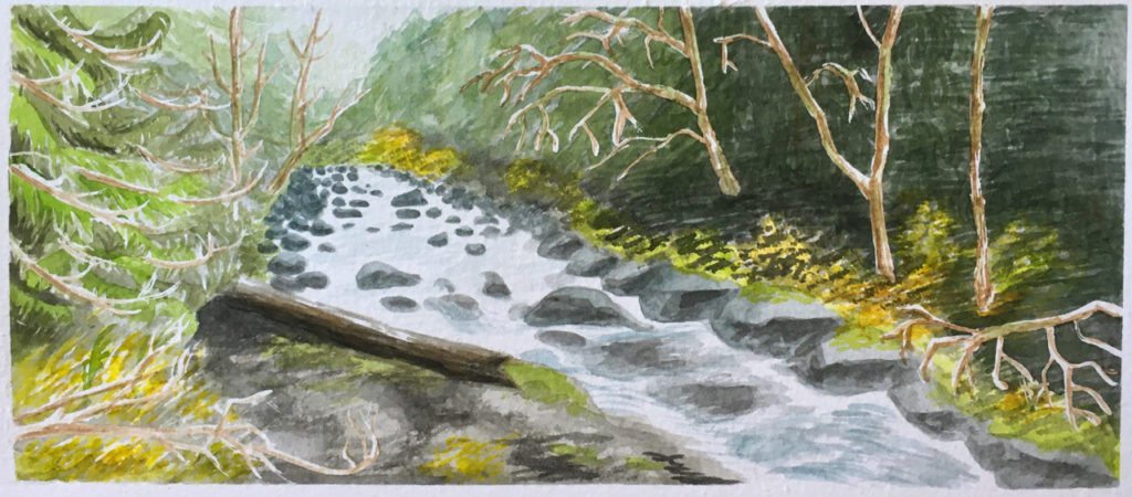 River with rocks, trees, moss, and yellow autumn leaves