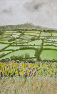 View of English farmland with tor in distance and gorse and grasses in foreground