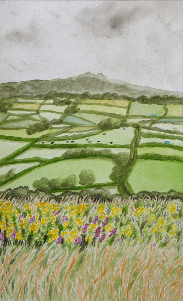 View of English farmland with tor in distance and gorse and grasses in foreground
