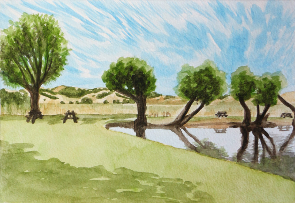 Pond surrounded by grass, with a row of trees and distant rolling hills against a blue sky with streaks of white clouds