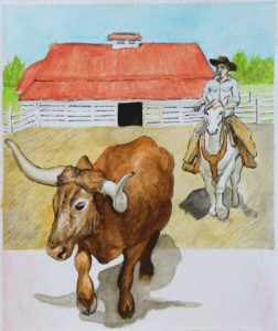 Longhorn bull being followed cowgirl on horse in front of barn with red roof