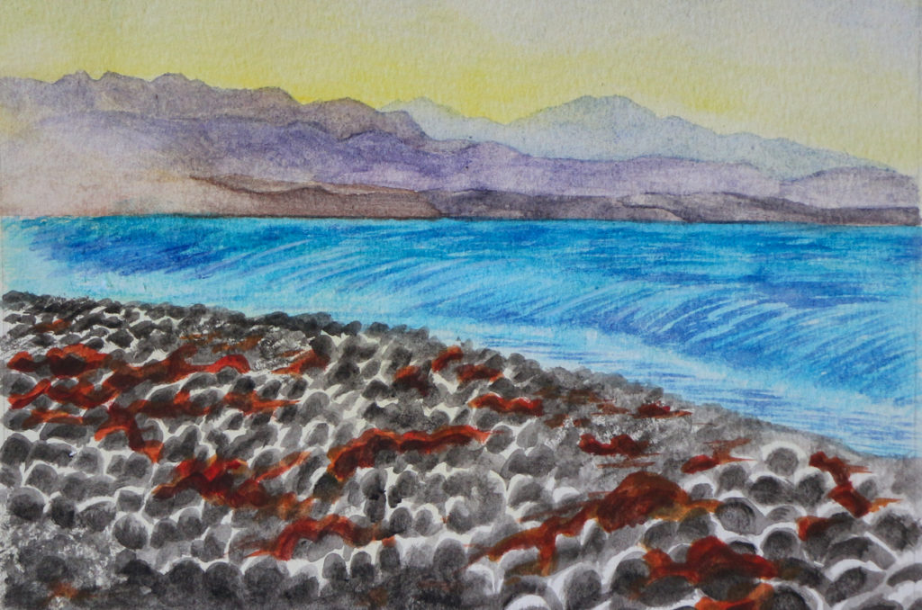 Distant mountains beyond bay, with seaweed-covered rocks in foreground