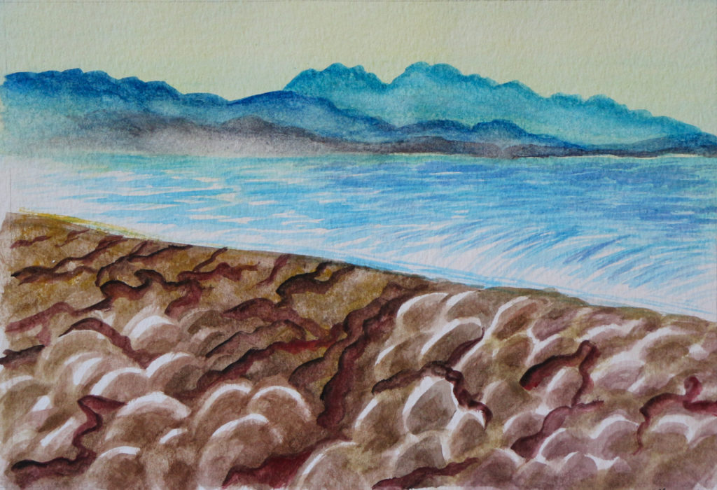 Distant mountains beyond bay, with seaweed-covered rocks in foreground