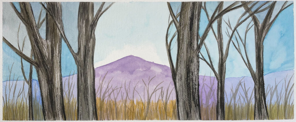 Bare winter trees in front of distant mountain and sky