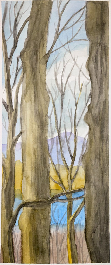 Bare winter trees in front of distant landscape view with purple mountain